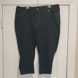 d. jeans Women's Midnight Ankle Jeans